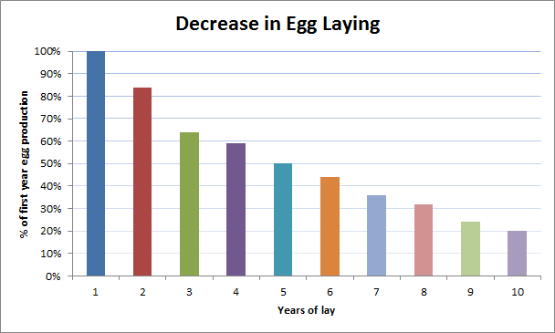 鸡产蛋量随时间减少