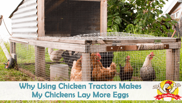 Why Using Chicken Tractors Makes My Chickens Lay More Eggs Blog Cover