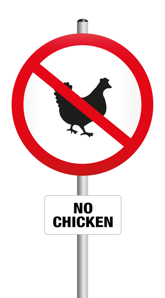 你的城镇允许养鸡吗?