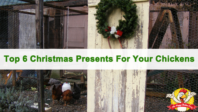 Top 6 Christmas Presents For Your Chickens Blog Cover