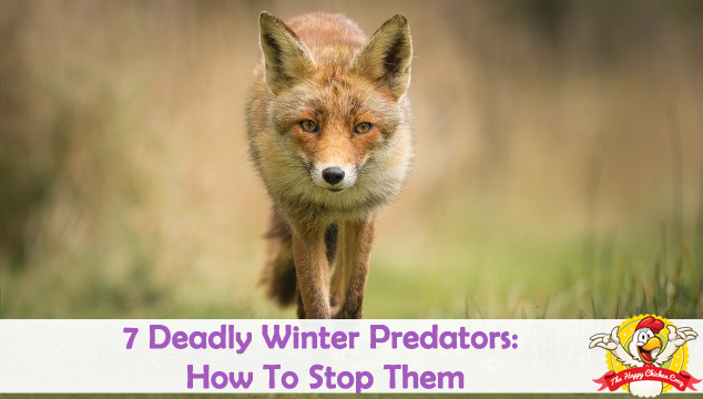 7种致命的冬季食肉动物，如何阻止它们