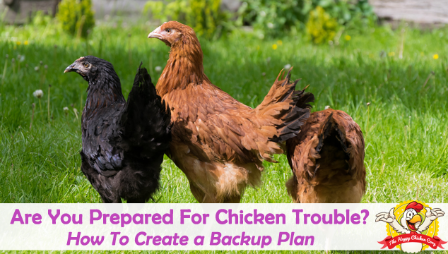 你准备好做鸡的麻烦博客封面了吗