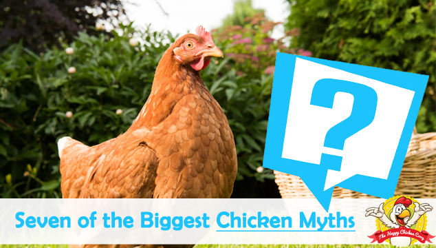 关于鸡的七个最大的迷思