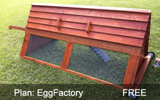 EggFactory