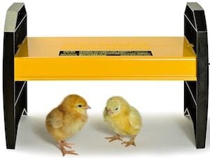 小鸡孵蛋加热器板