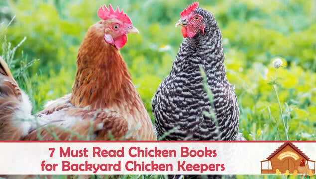 7必读的养鸡书籍后院养鸡博客封面