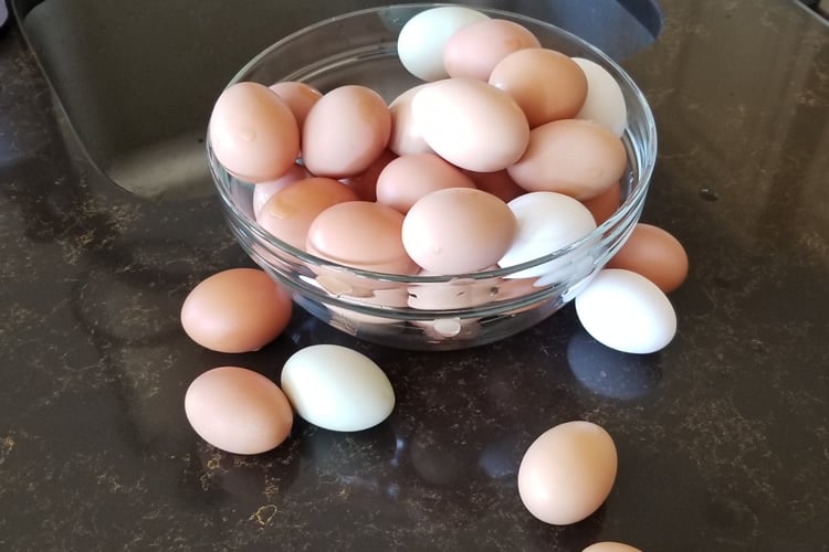 刚洗过的鸡蛋