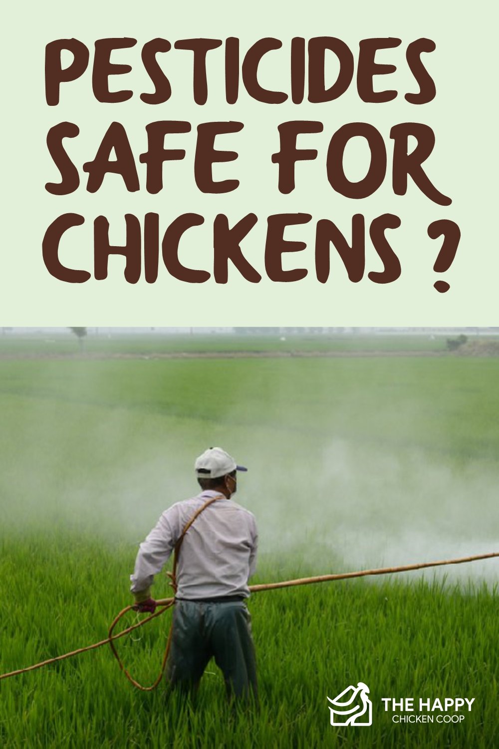 鸡只安全使用杀虫剂