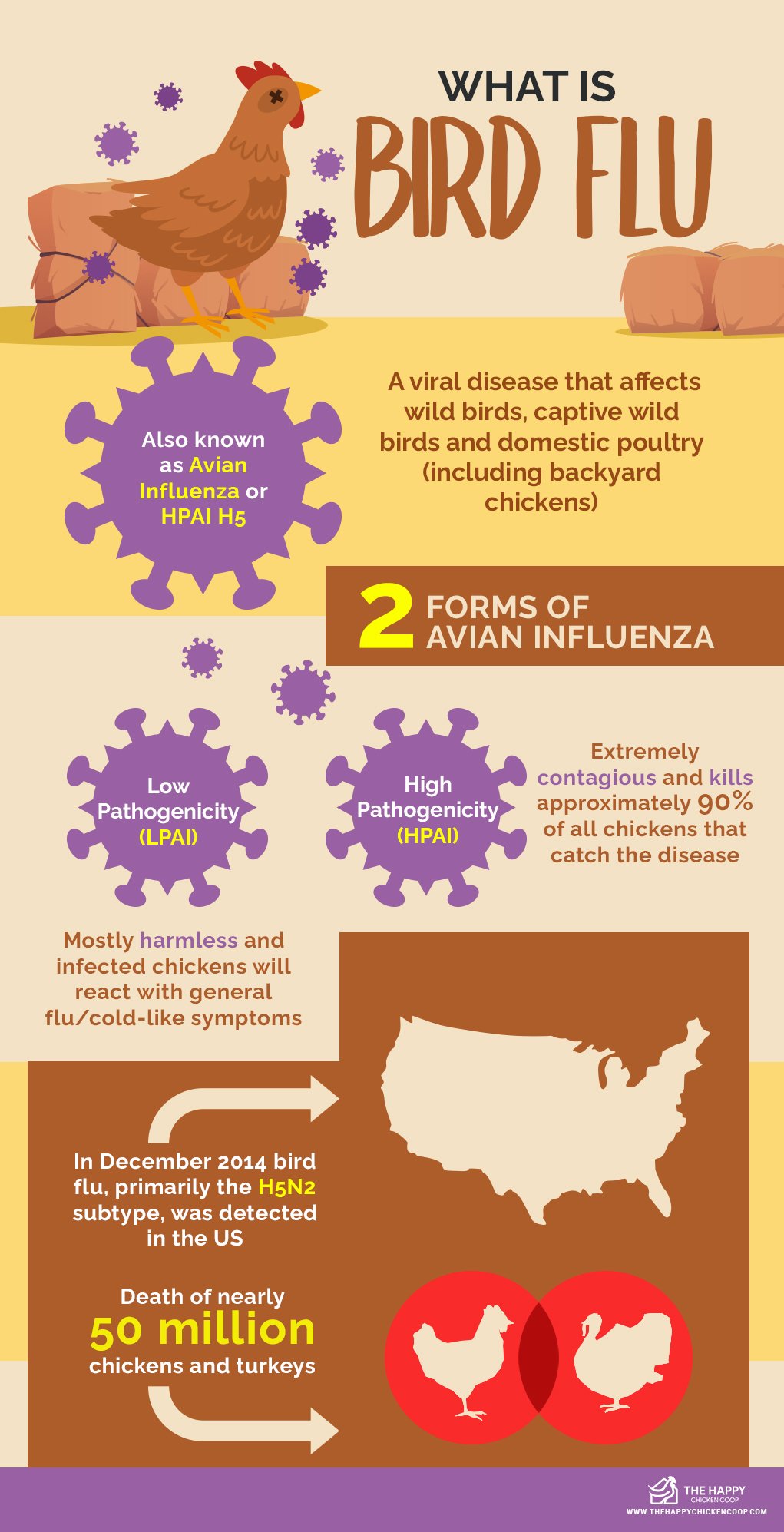 禽流感