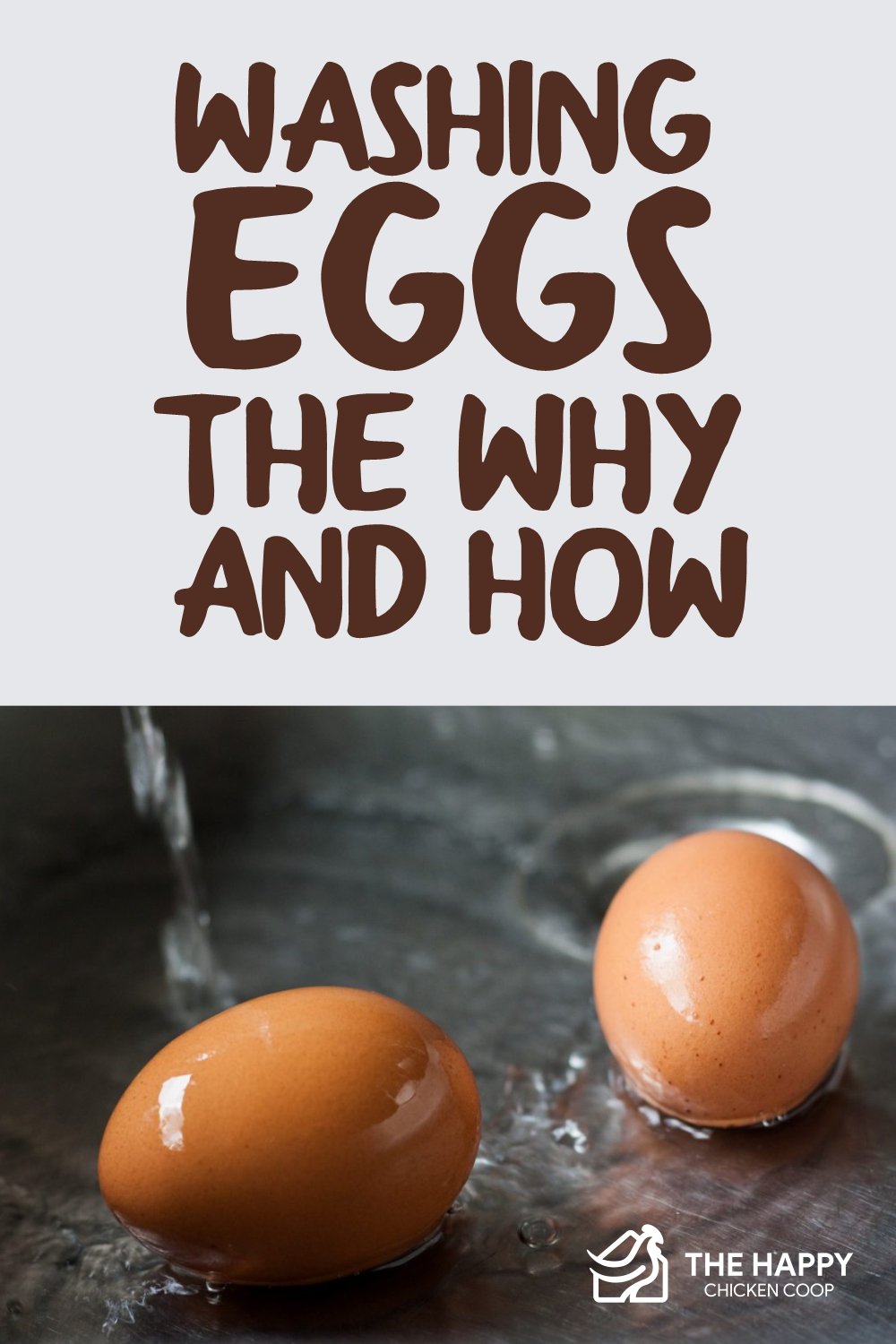 洗鸡蛋-为什么和怎么洗