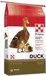 适合所有年龄鸭子的最佳饲料:Purina Animal Nutrition