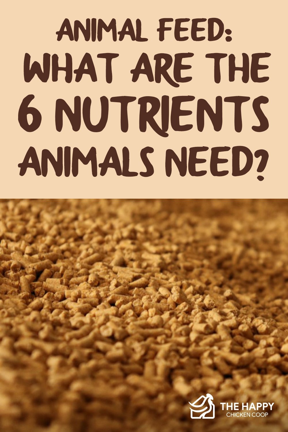 动物饲料-动物需要的6种营养素是什么