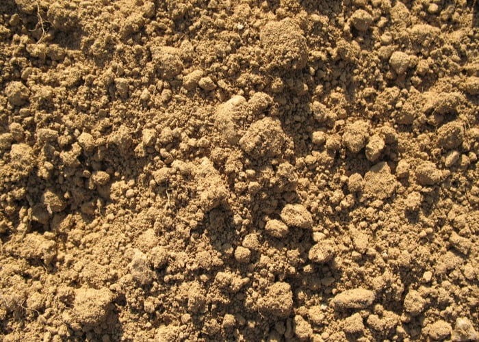 山羊床用砂