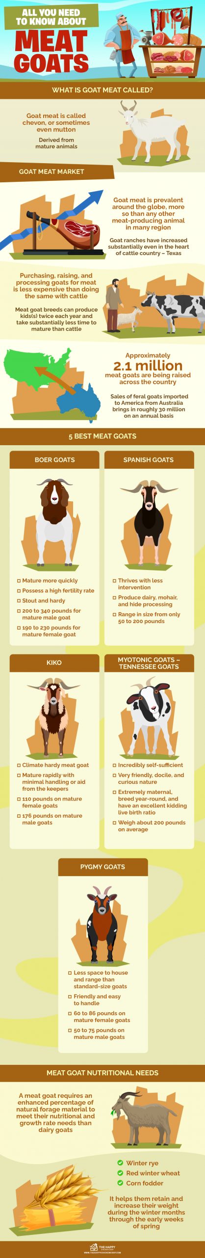关于肉用山羊你需要知道的一切