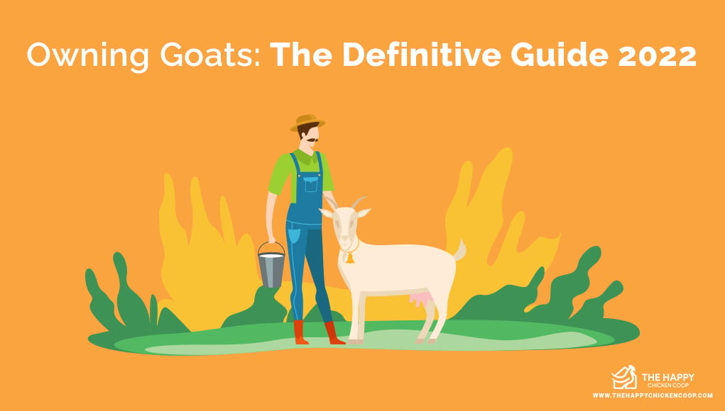Owning Goats The Definitive Guide