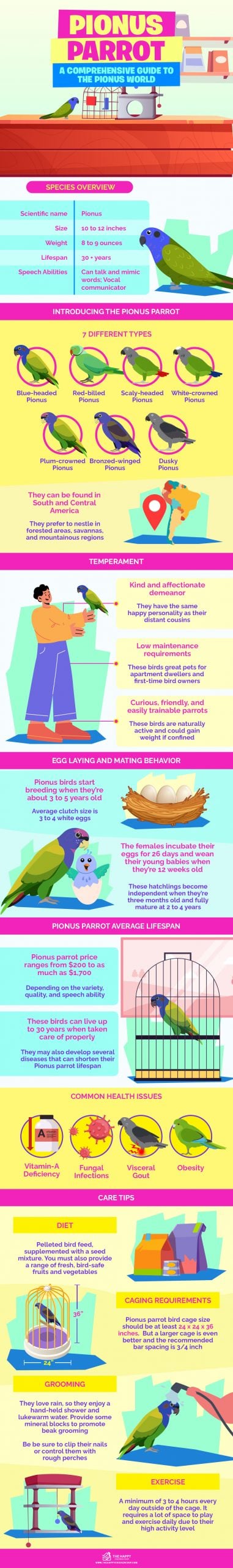 Pionus Parrot信息图表