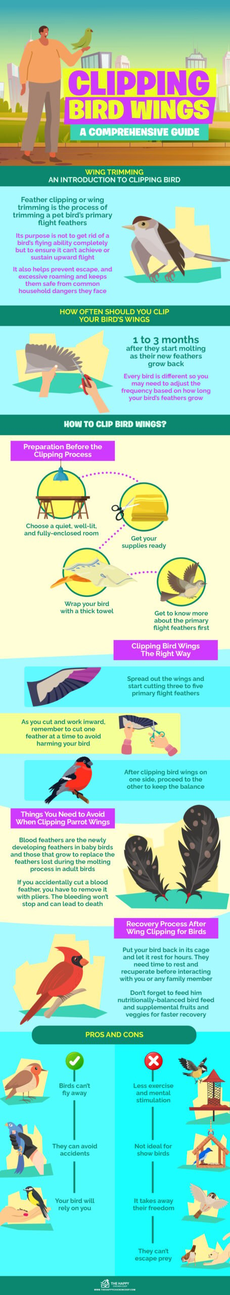 剪鸟翅膀信息图表