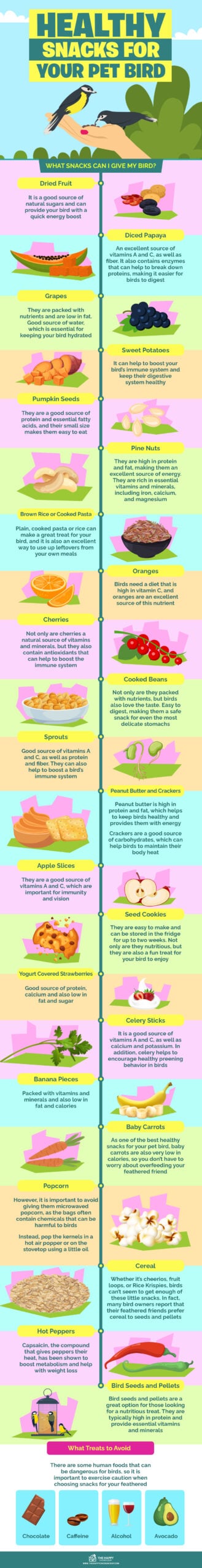 Healthy Snacks For Your Pet Bird infographics