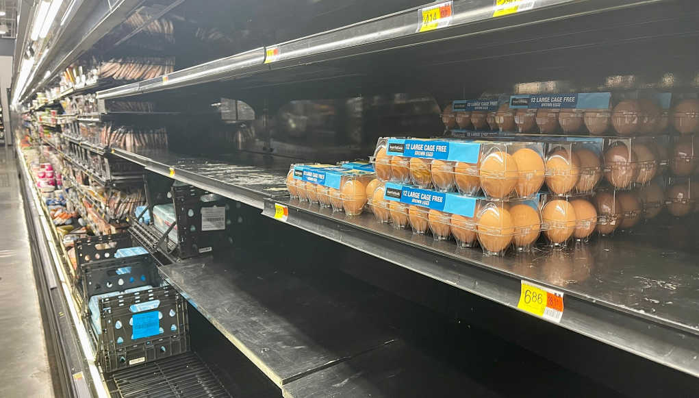 What To Do About the Egg Shortage