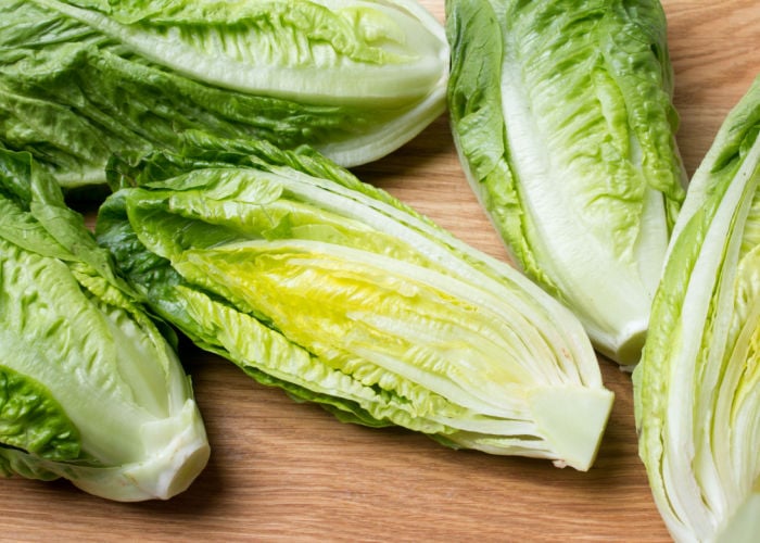 Can chickens eat romaine lettuce featured image