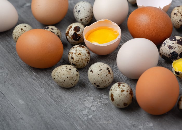 Quail egg vs chicken egg nutrition