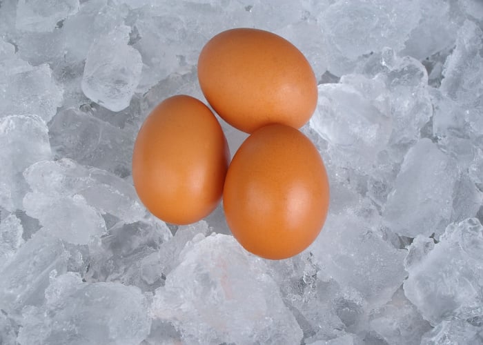can you freeze eggs featured image
